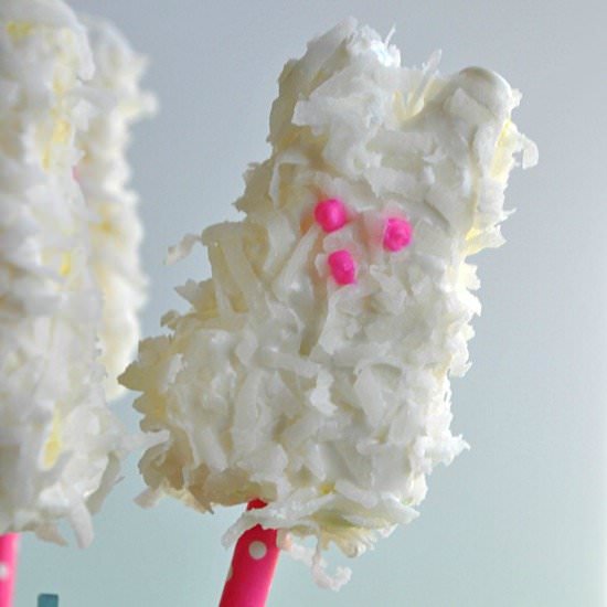 Coconut Marshmallow Bunnies