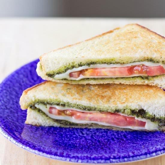 Tomato, Mozzarella, Pesto Panini