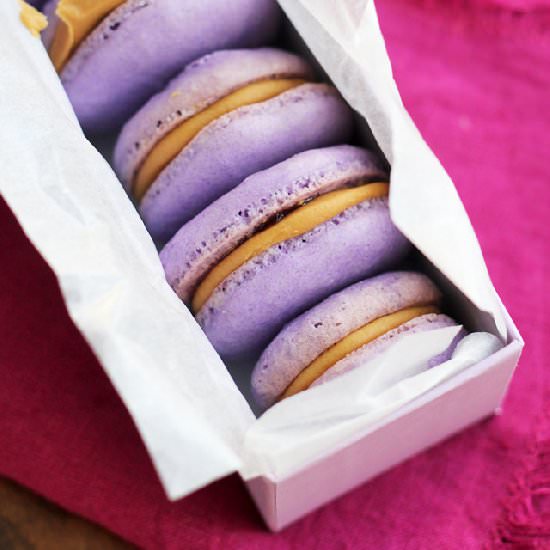Peanut Butter and Jelly Macarons