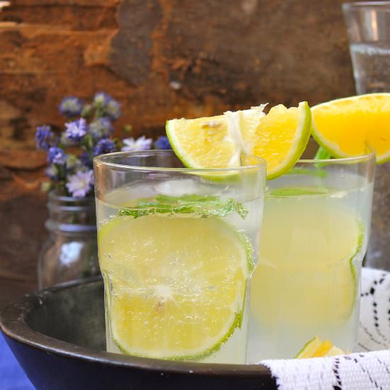 Lime and Mint Virgin Mojito