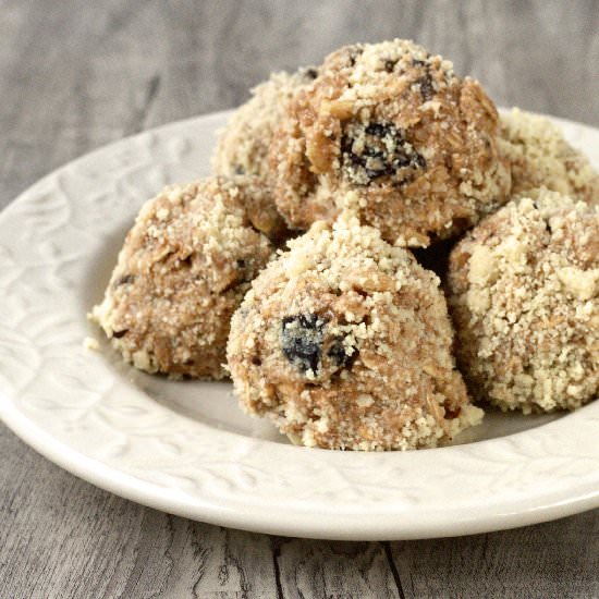 Oatmeal Raisin Cookie Protein Bites