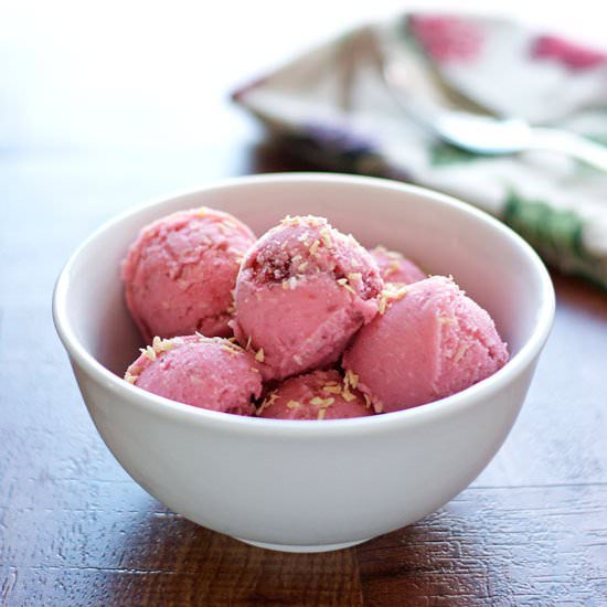 Berry Coconut Frozen Yogurt