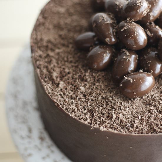 Chocolate Cake with Chocolate Edge