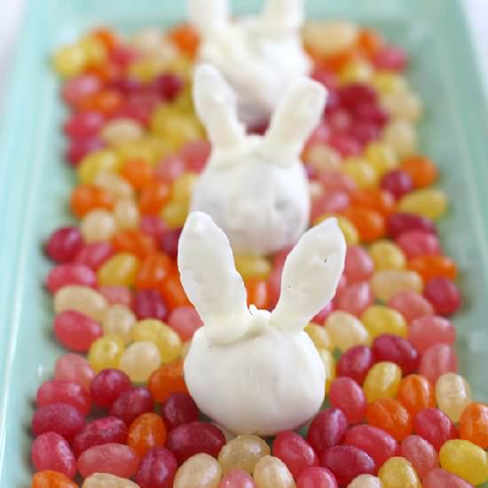 Oreo Truffle Bunnies