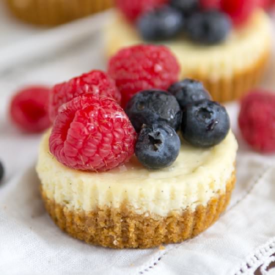 Mini Fruit Tart Cheesecakes