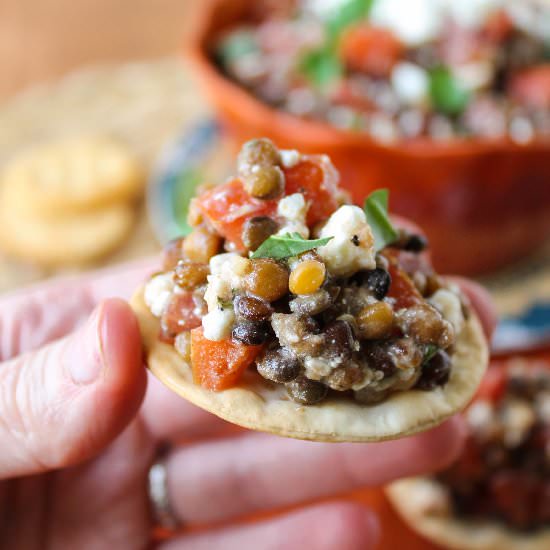 Fresh Bruschetta and Lentil Dip