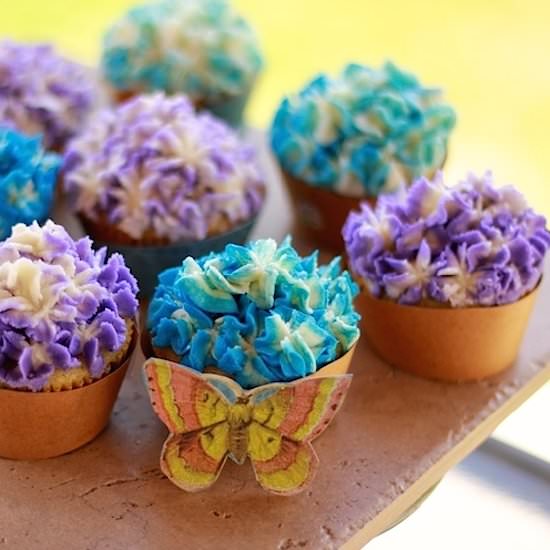 Vanilla Cupcakes