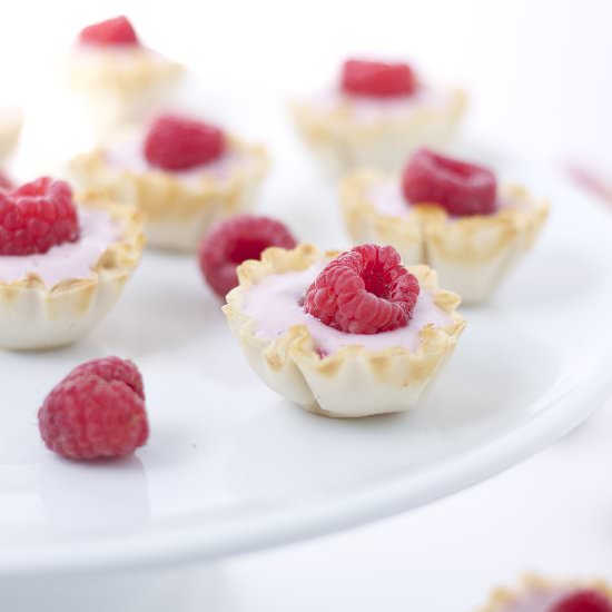 Mini Raspberry Yogurt Phyllo Cups