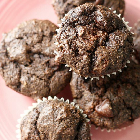 Double Chocolate Mini Muffins