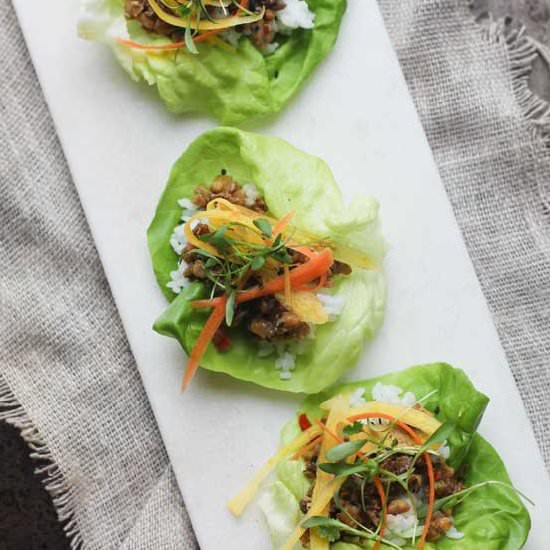 Asian Lettuce Wraps