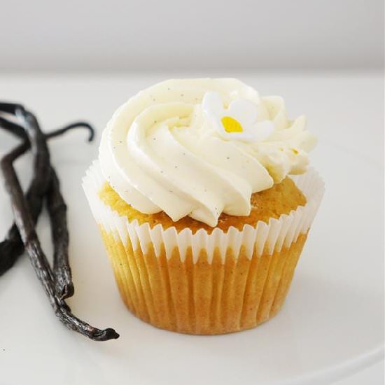 Very Vanilla Cupcake