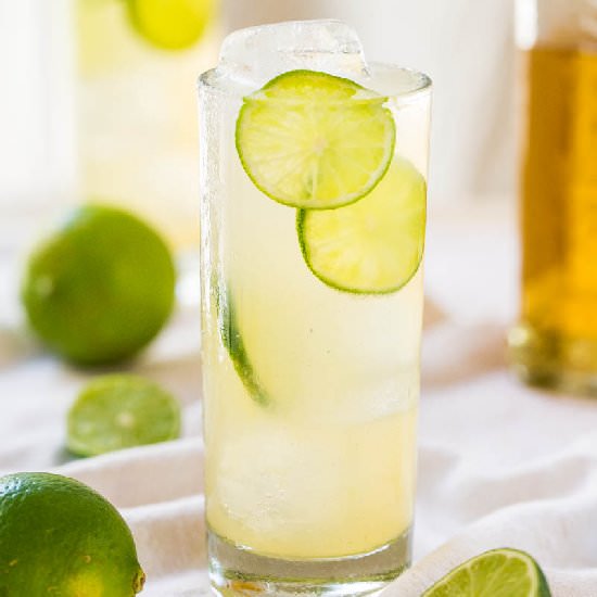 The Best Homemade Margaritas