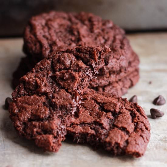 Double- Chocolate Chip Cookies