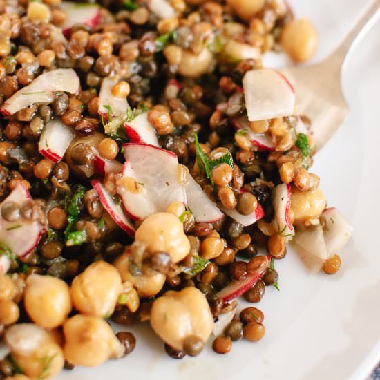 Lemony Lentil and Radish Salad
