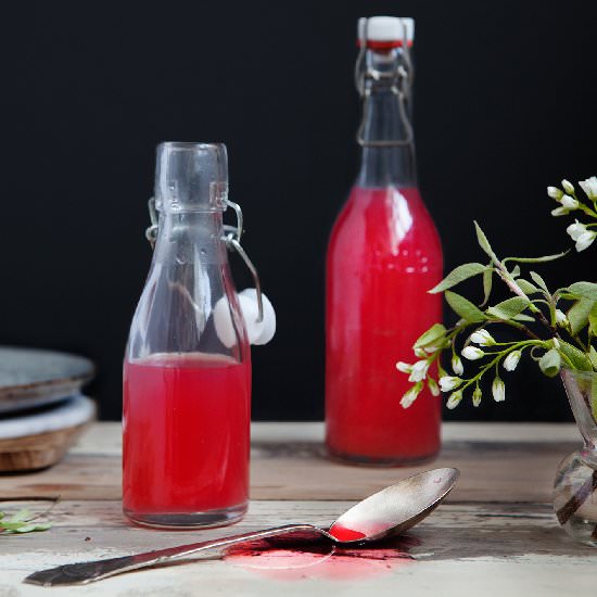 Rhubarb Syrup