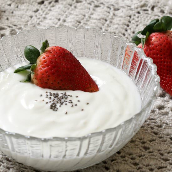 Easy Homemade Plain Yogurt