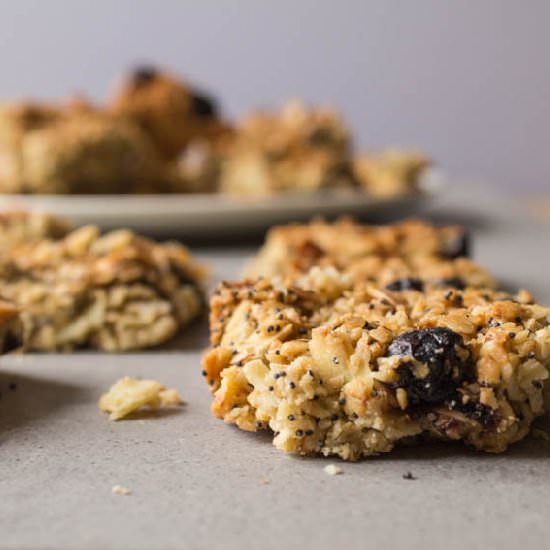 Blueberry Cereal Bars
