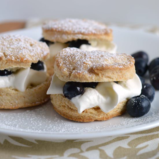 Blueberry Biscuits