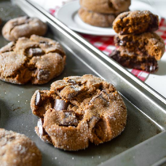 Chewy Chocolate Gingerbread Cookies