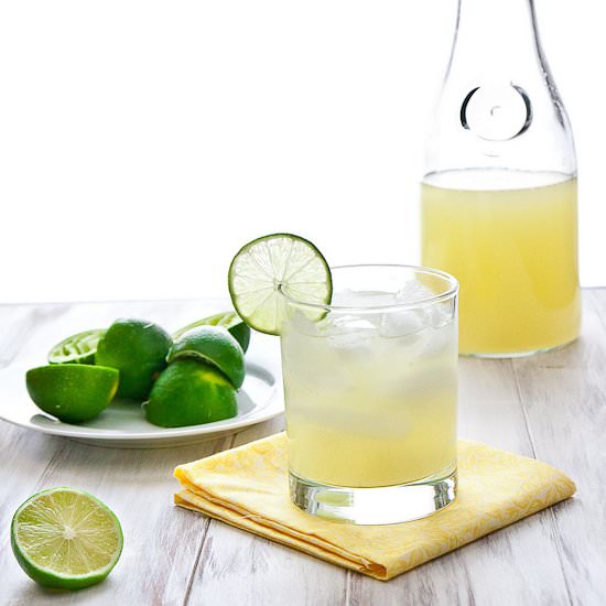 The Perfect Margarita