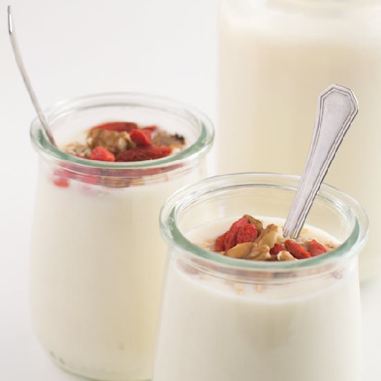 Vegan Soy Yogurt