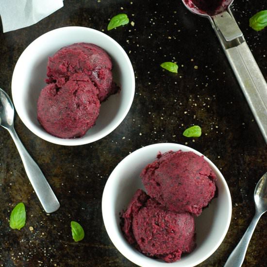 Blueberry Basil Rum Sorbet