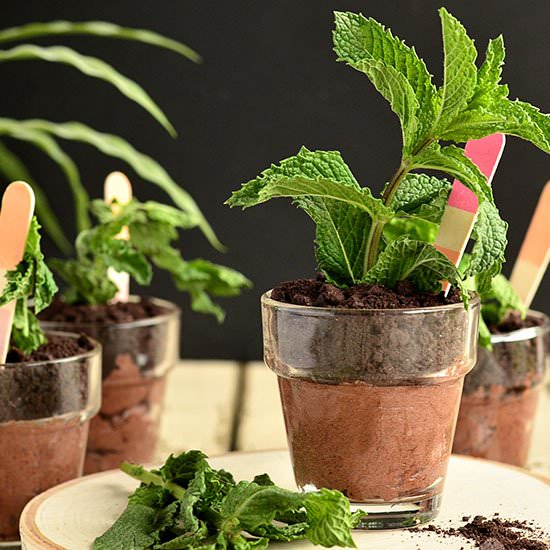 Potted Chocolate Cheesecake