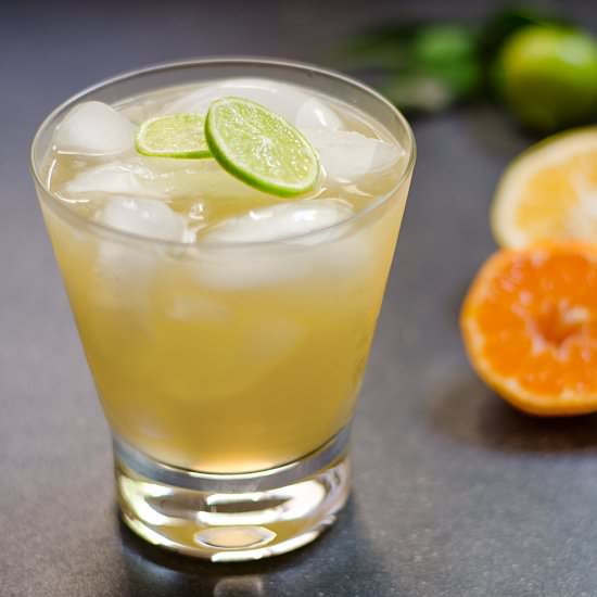 Margarita from Scratch