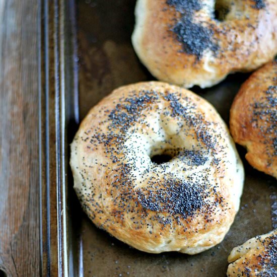 Lemon Poppy Seed Bagels