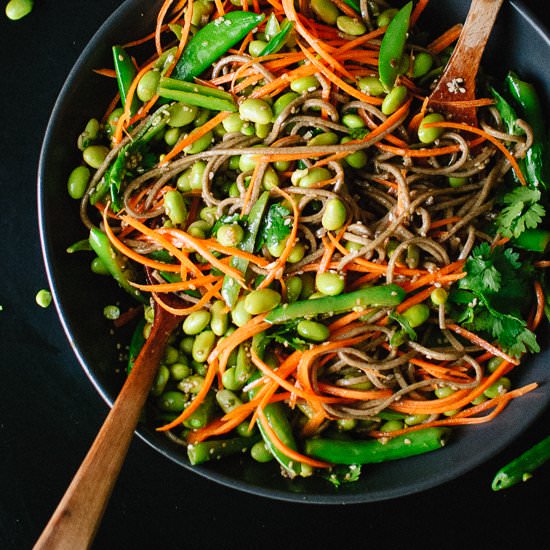 Snap Pea & Carrot Soba Noodles