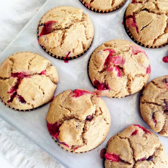 Cranberry & Chocolate Muffins