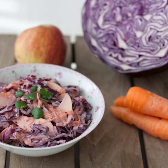 Red Cabbage Slaw