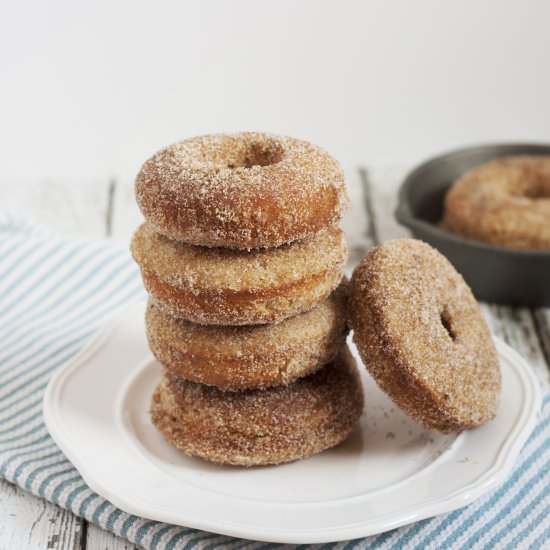 Baked Churro Donuts