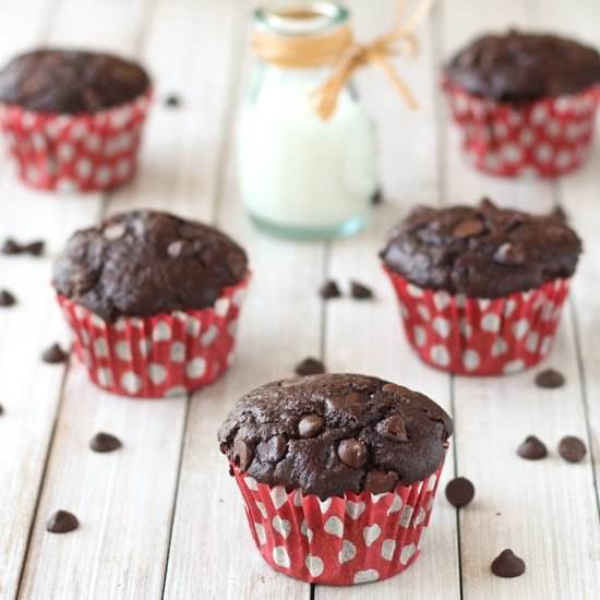 Double Chocolate Chip Muffins