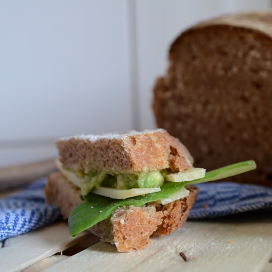 Avocado-Cheese-Sandwich