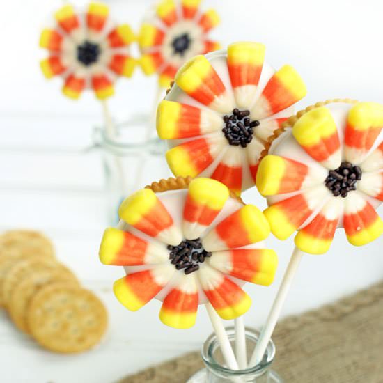 Sunflower Cookie Pops
