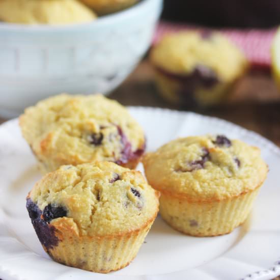 Paleo Lemon Blueberry Muffins