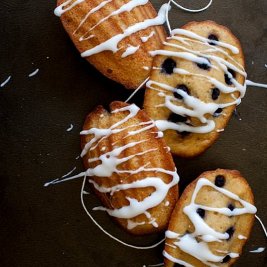 Blueberry Madeleines