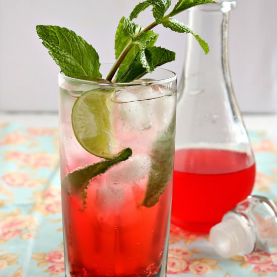 Rhubarb Mojito
