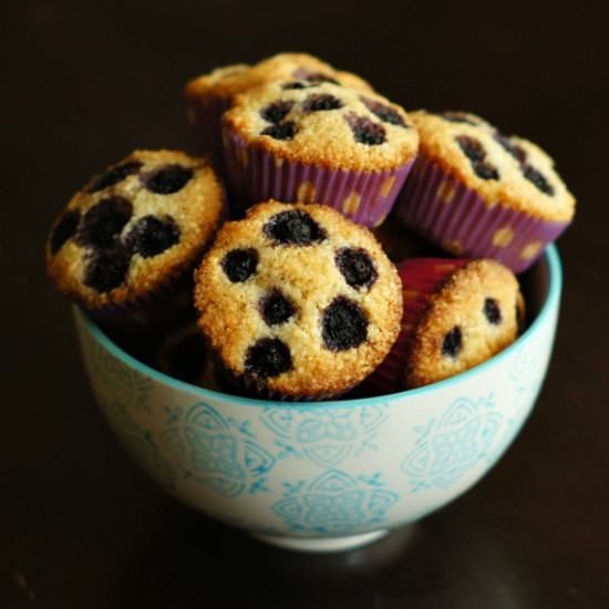 Blueberry Coconut Friands