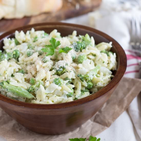 One Pot Creamy Orzo Pasta Dish