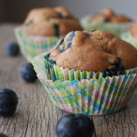 Blueberry Coconut Vegan Muffins