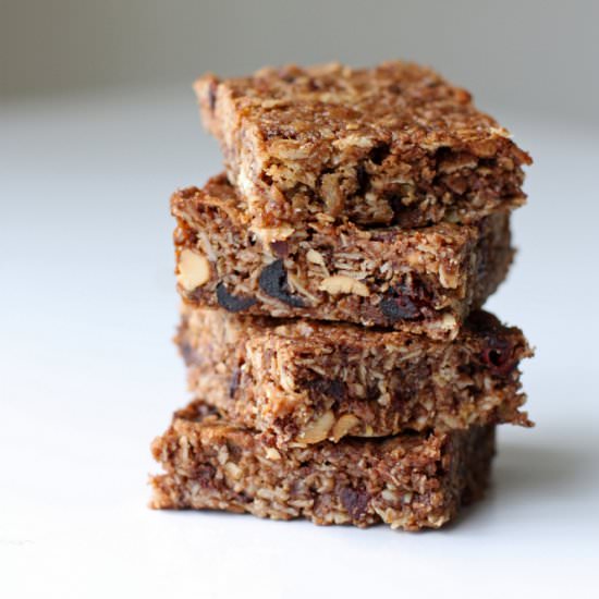 Coconut Chocolate Chip Granola Bars