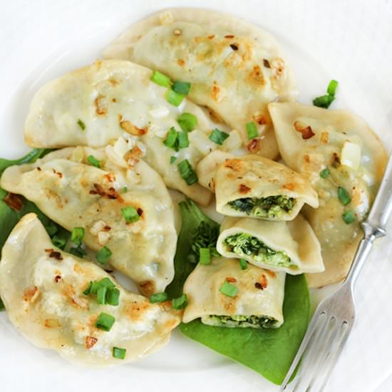 Spinach and chicken dumplings