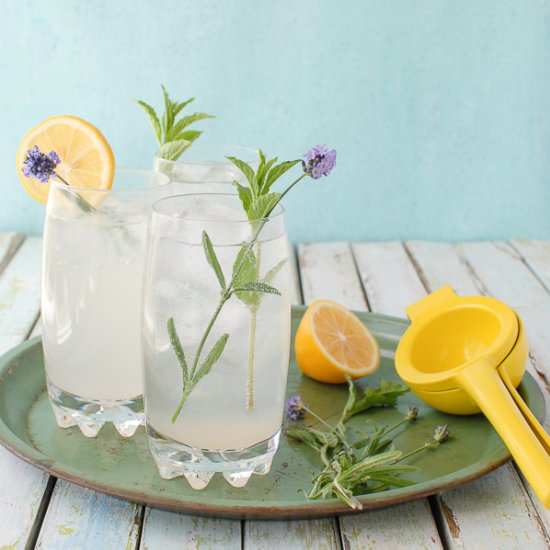 Meyer Lemon Lavender Mojitos