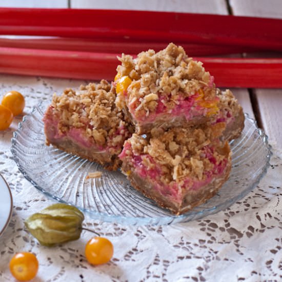 Rhubarb Pichuberry Crumb Bars