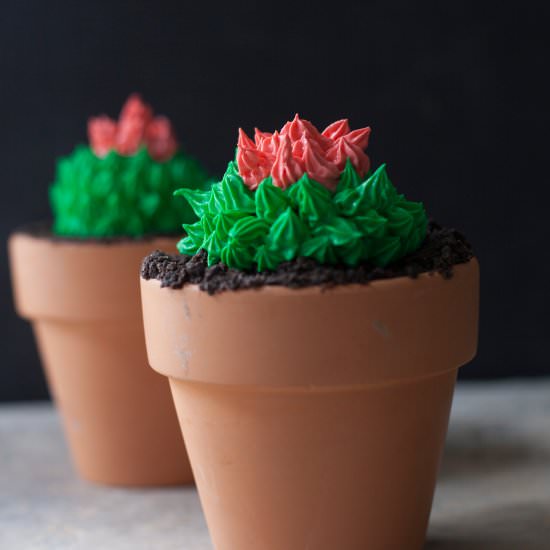 Terra-Cotta Cactus Cupcakes