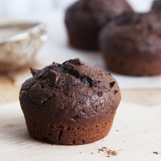 Double Chocolate Muffins