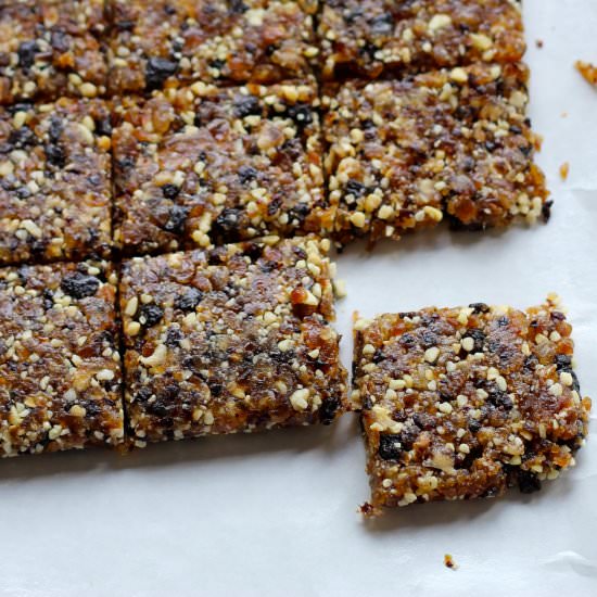 Mamabars (DIY Larabars)