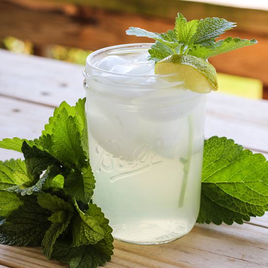 Fresh Lemon Balm Iced Tea